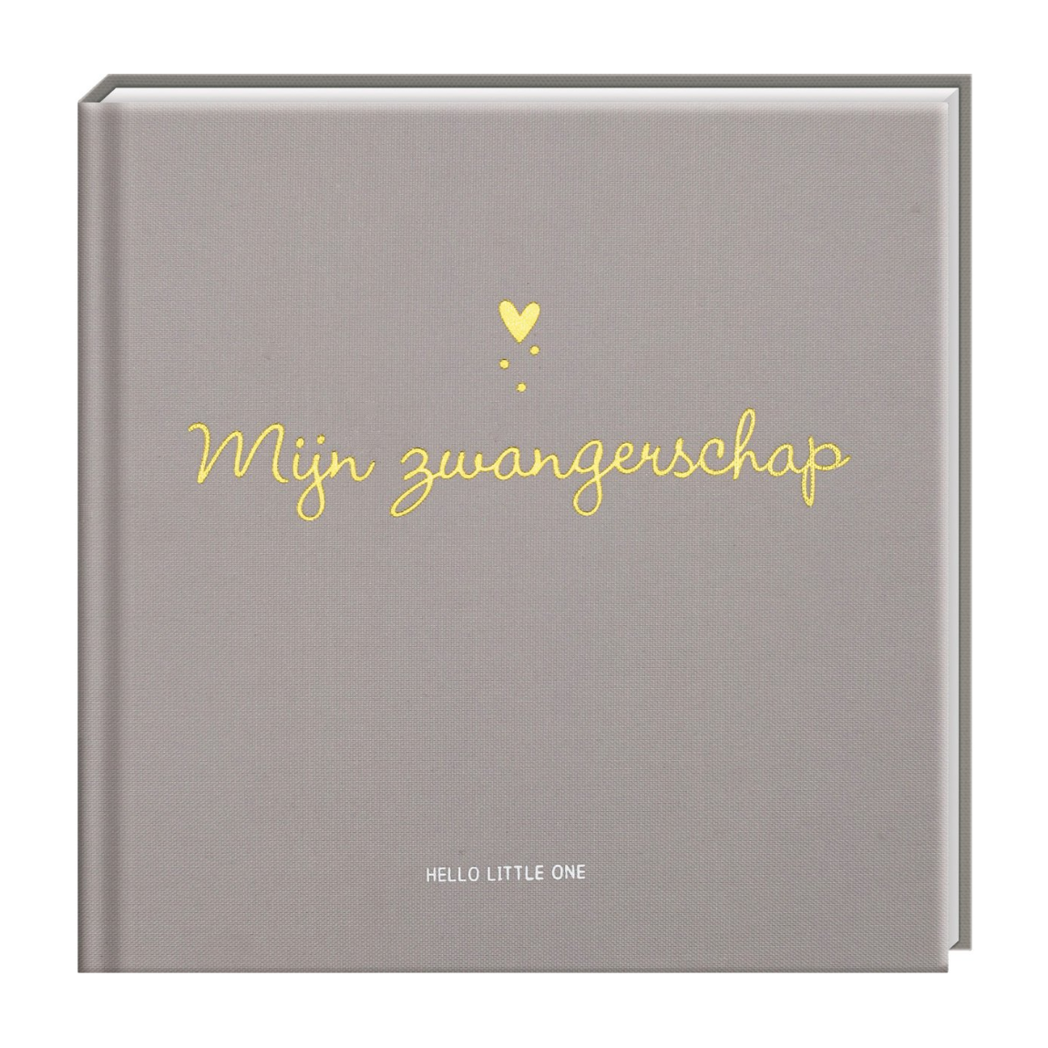 invulboek zwangerschap hello little one